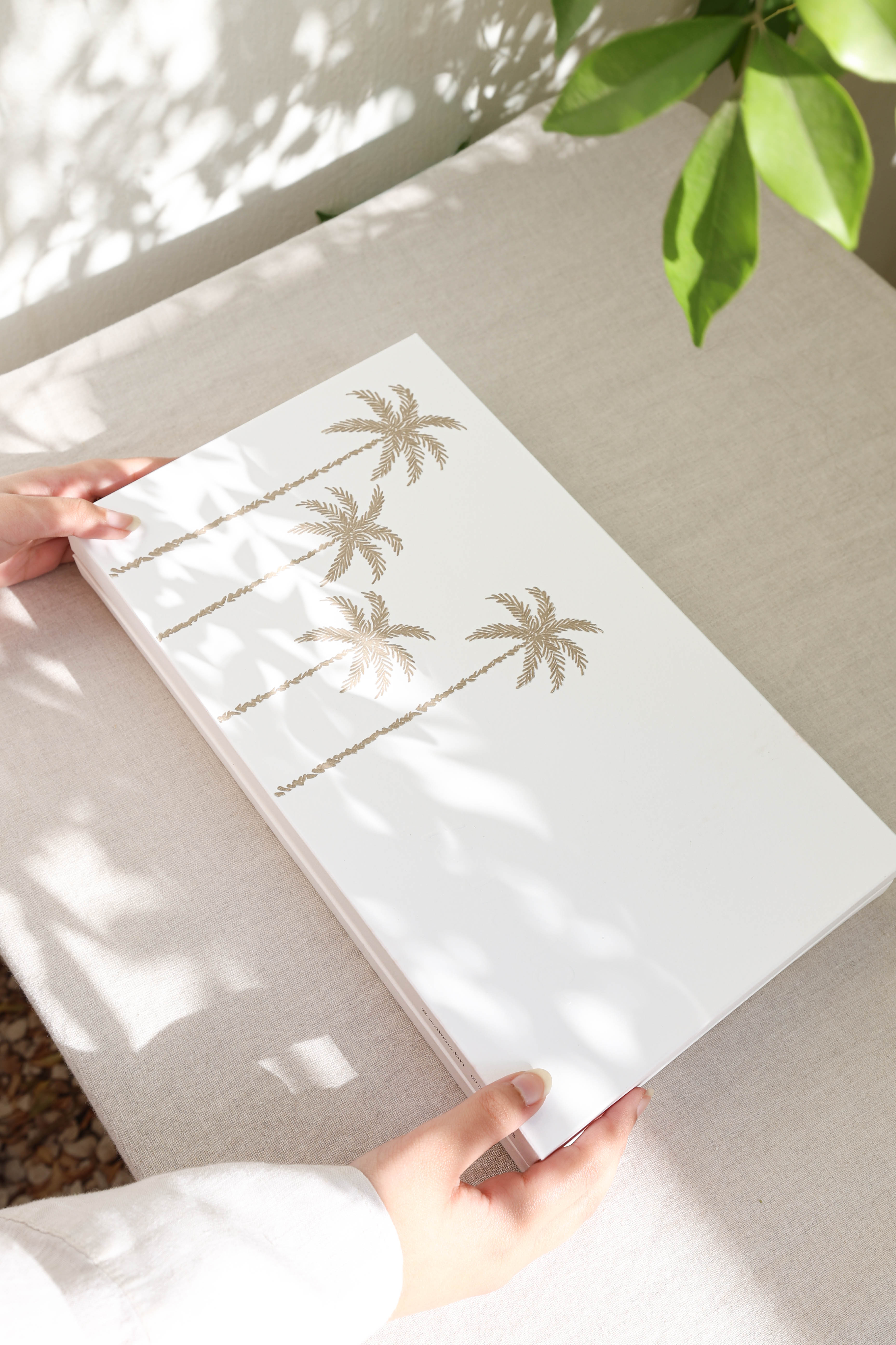 Desert Palm Chocolate Box